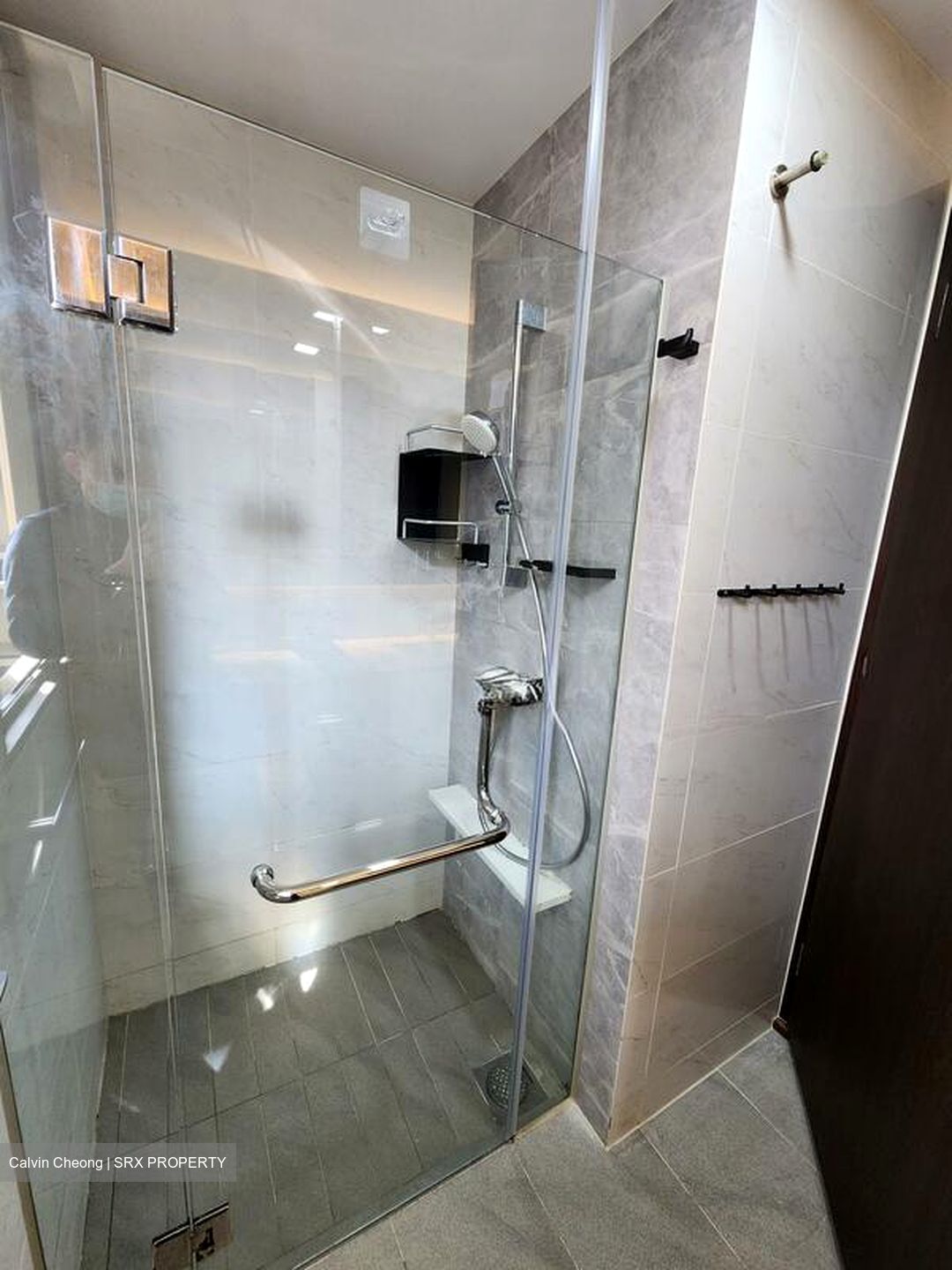 The Brownstone (D27), Condominium #505822511
